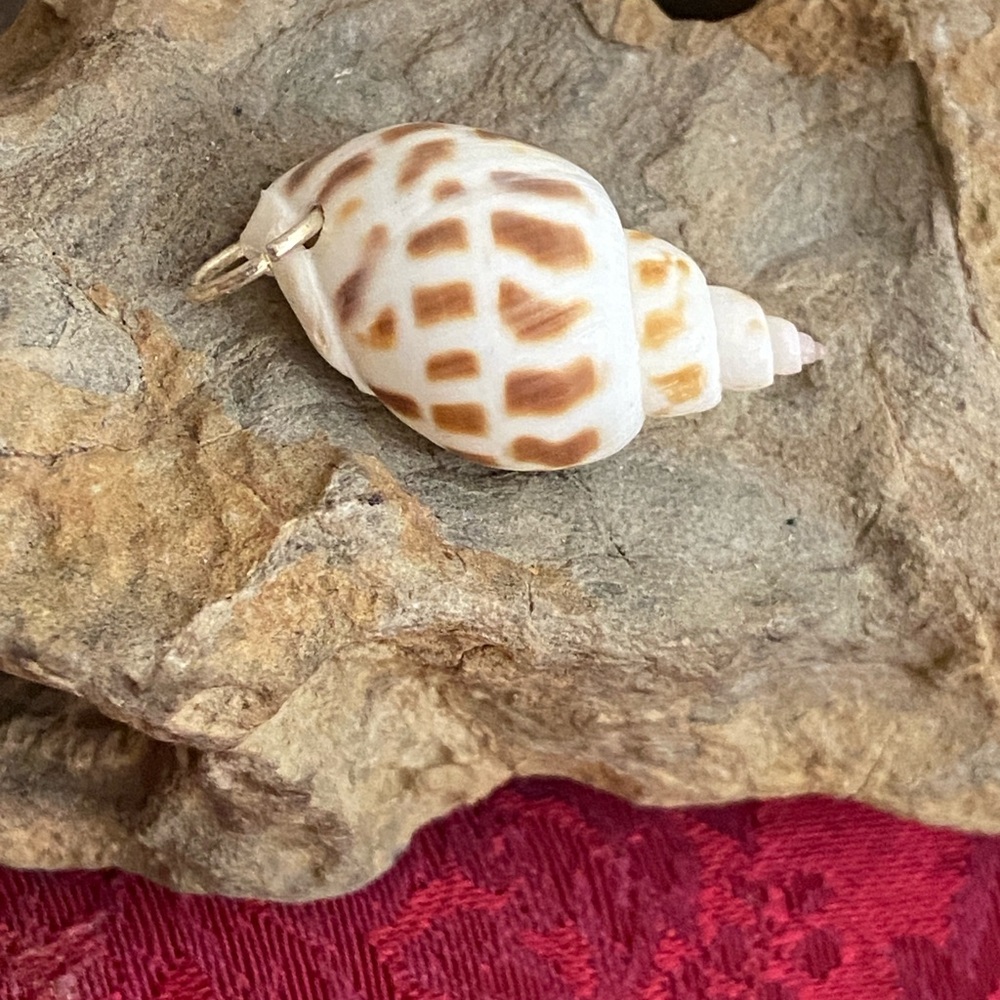 5/$10❤️❤️❤️NEW Vintage 60s Spiral Babylon Shell Pendant Charm
